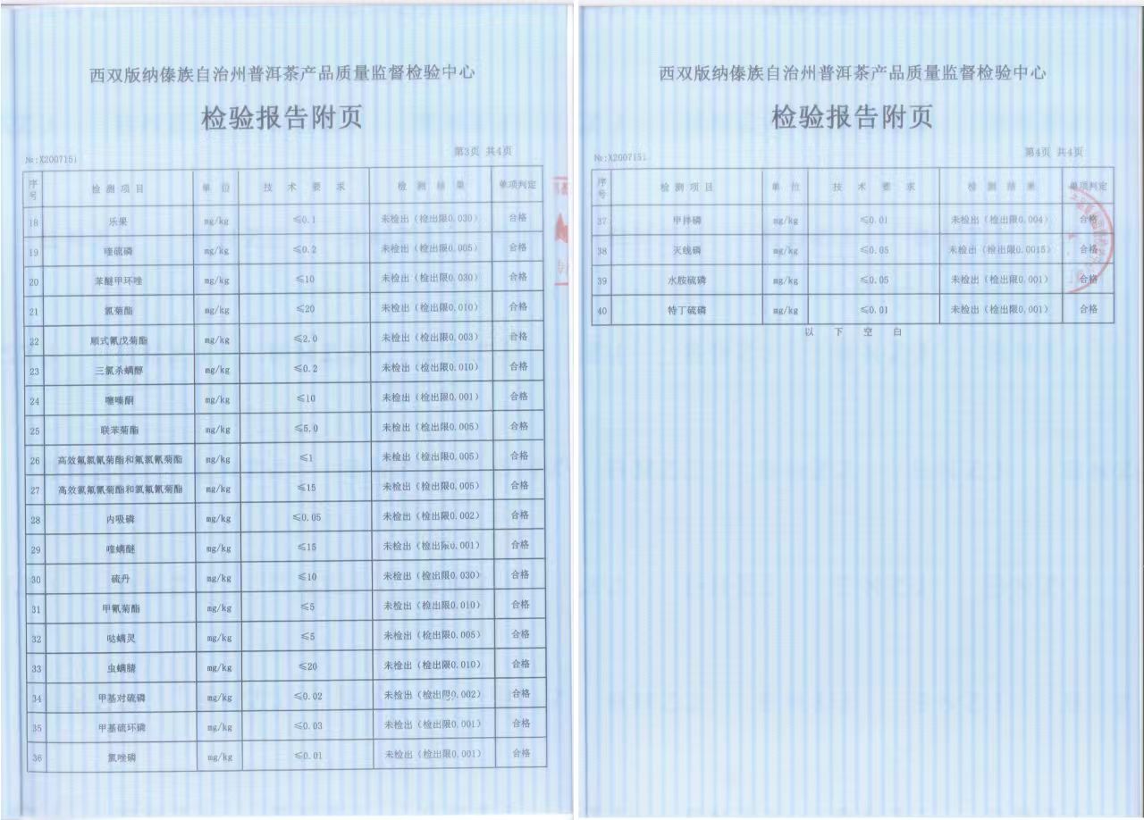 #09 Qīng Fēng Jiě Yǔ 2020 sheng Puer(清风解语)