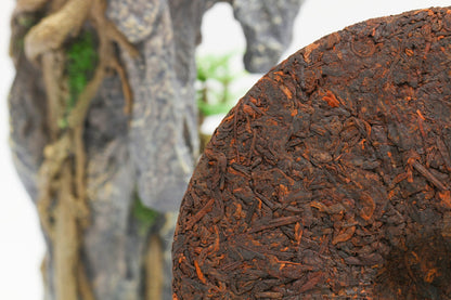#11 BuLang old tree 2015 Ripe Puer（布朗古树）