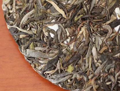 XiMei Old Tree 2016 Raw Puer(昔梅古树)#13
