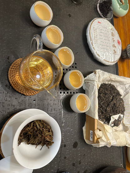 XiMei Old Tree 2016 Raw Puer(昔梅古树)#13