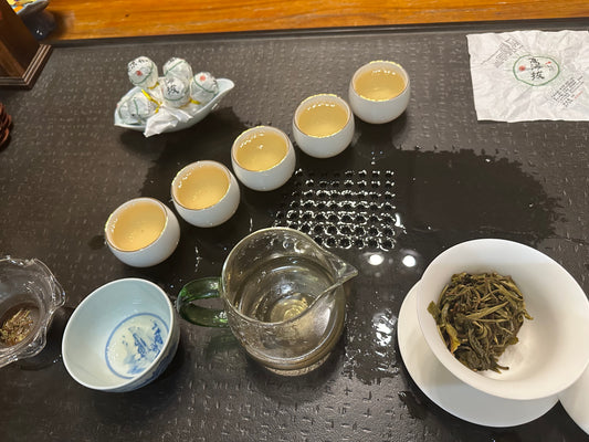 #49 Měng Hǎi Gāo Hǎi Bá Gǔ Shù Lóng Zhū 2025 sheng puer （勐海高海拔古树龙珠）