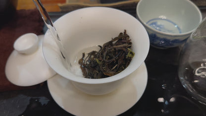 #53 Yì Wǔ Tóng Qìng Hé Gǔ Shù Chūn Chá - Gǔ Fǎ Shì Xí 2025 sheng puer （易武铜箐河古树春茶-古法世袭）