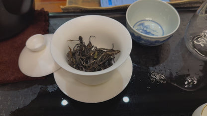 #53 Yì Wǔ Tóng Qìng Hé Gǔ Shù Chūn Chá - Gǔ Fǎ Shì Xí 2025 sheng puer （易武铜箐河古树春茶-古法世袭）